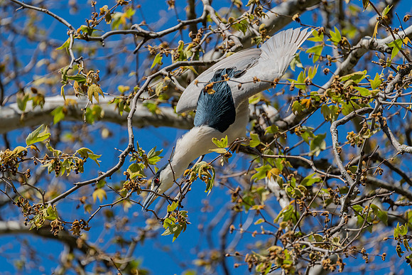 _DSC1798-Edit