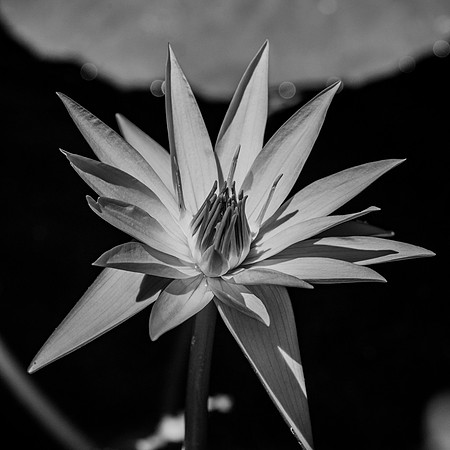 _DSC9910-2