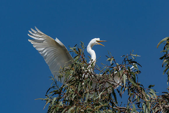 _DSC4546-Edit